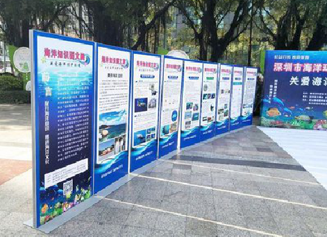 丹阳KT板的种类和知识。